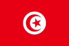 авиа из туниса